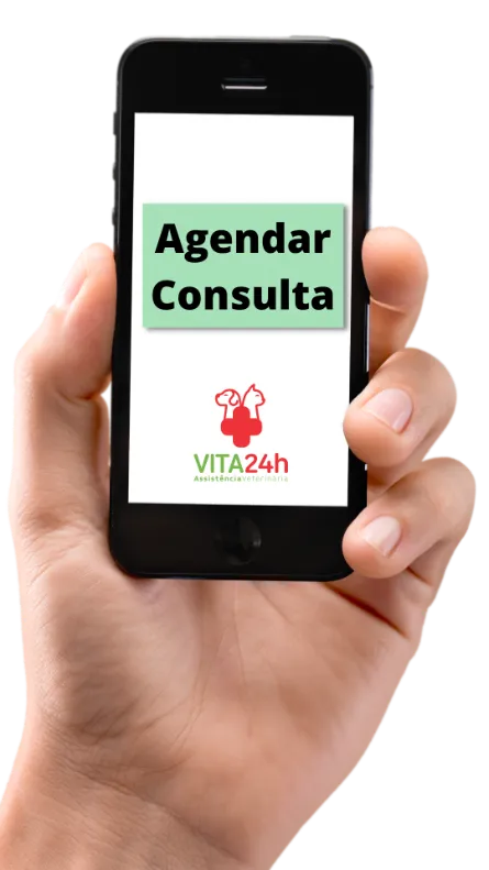 Agendar Consulta