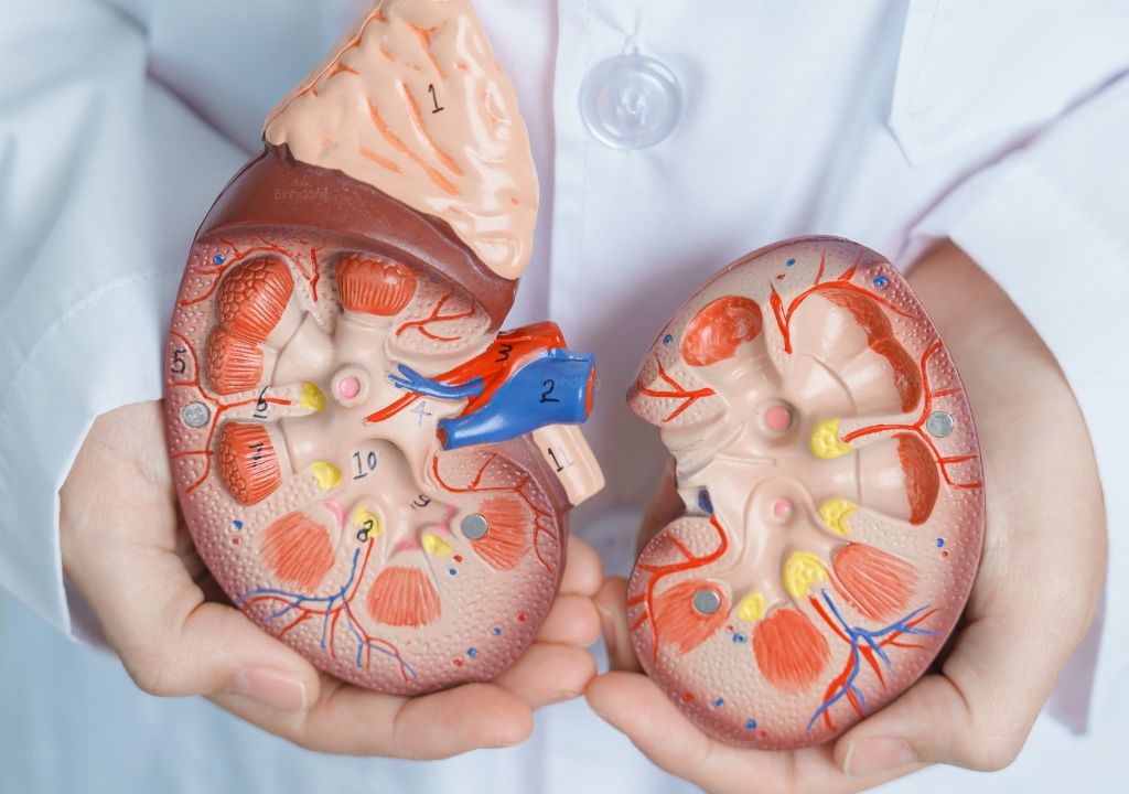 Uống Gì Bổ Thận Tráng Dương: Giải Pháp Hiệu Quả Cho Sức Khỏe Nam Giới