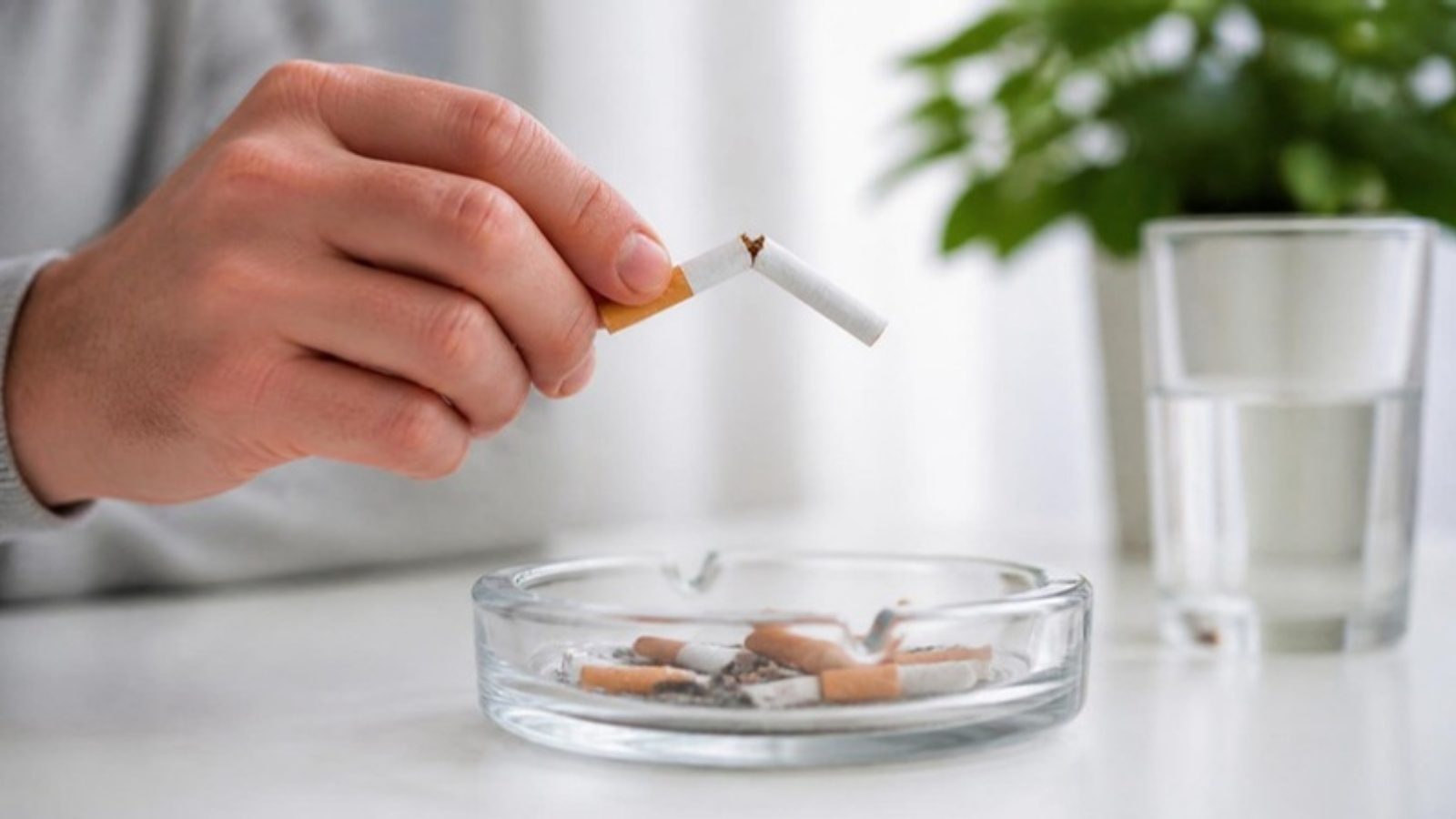 Thuốc lá có gây suy nhược cơ thể không? Ảnh hưởng đến thể lực và cách phục hồi