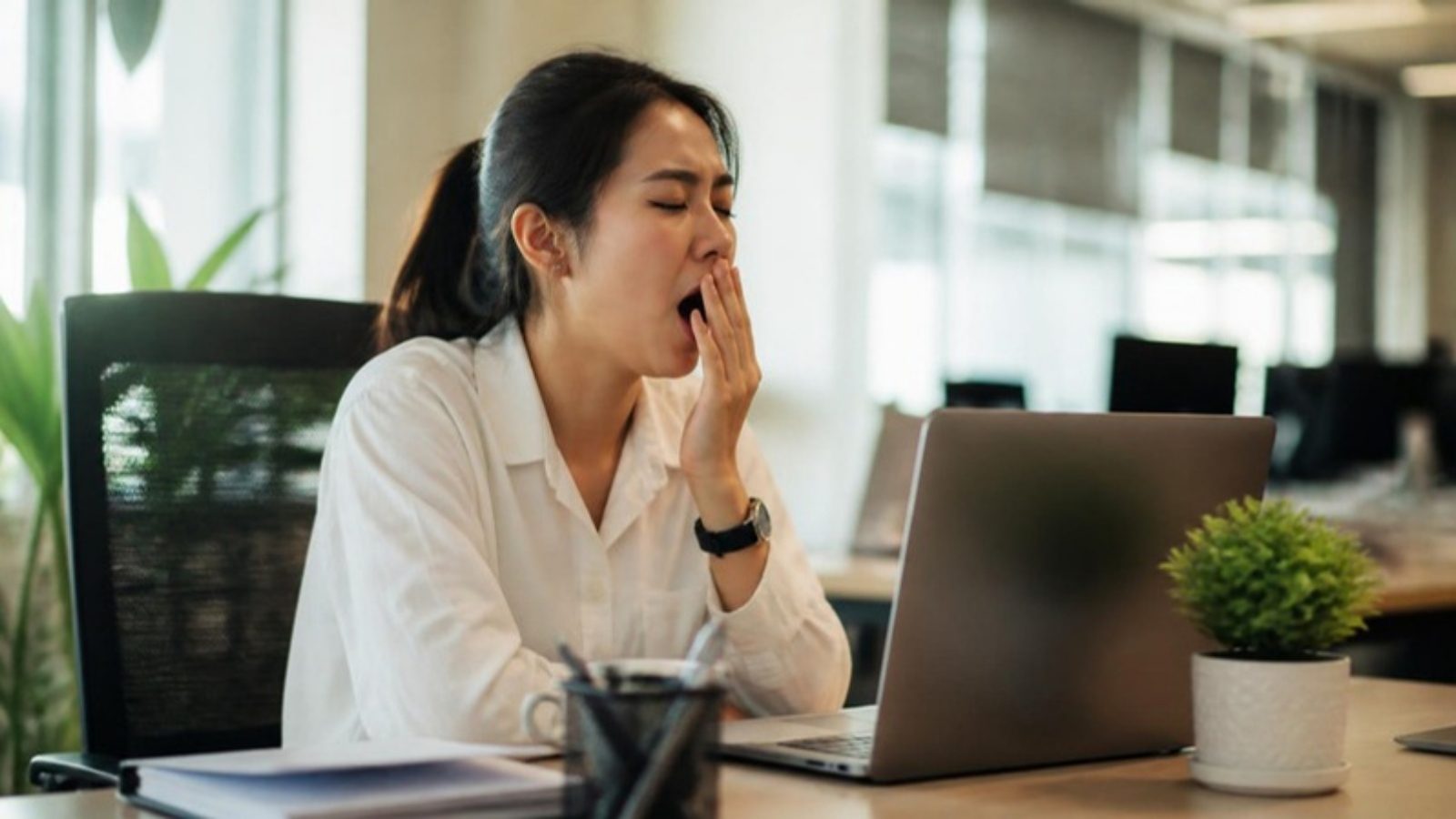 Suy nhược cơ thể nhẹ: Dấu hiệu, cách theo dõi và thời điểm cần lưu ý