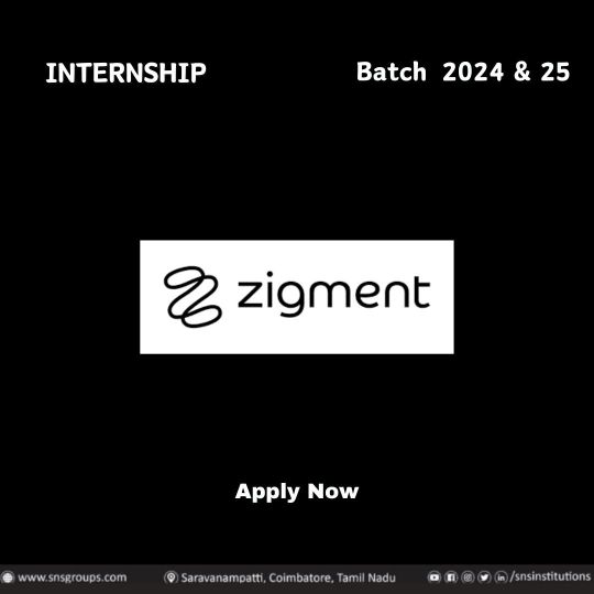 Zigment.ai