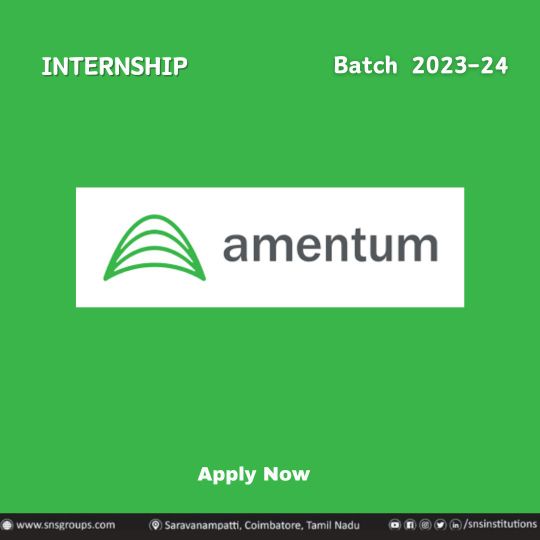 Amentum-intern