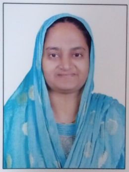 Dr. M. Shabeena Begam
