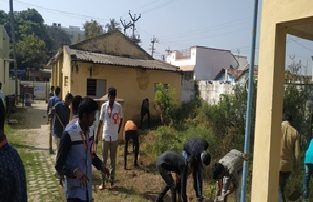 EXTENSIONAL PROGRAMMES