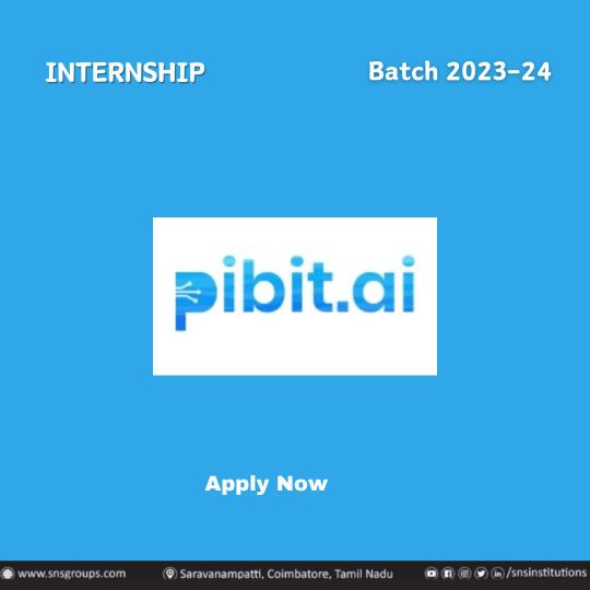 Pibit.ai-intern