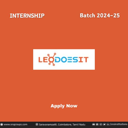 LEO DOES IT INC-intern