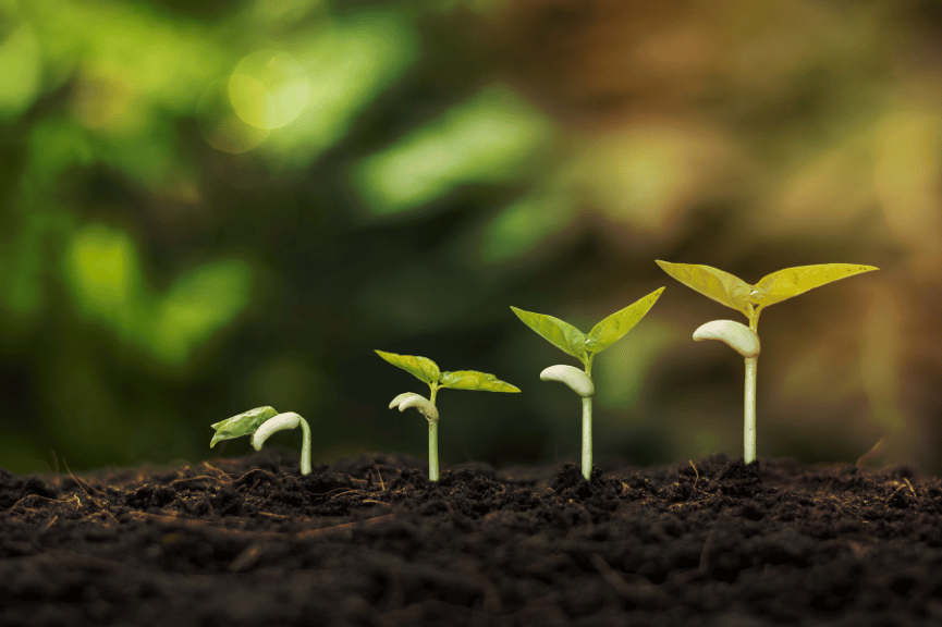 Growth Beyond Metrics Digital Marketing Services fox9creative