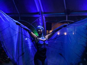 WESTIN RESERVA CONCHAL FOR MICE