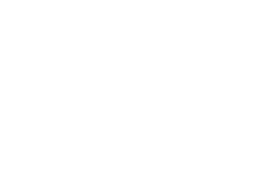 excellence consultancy company logo