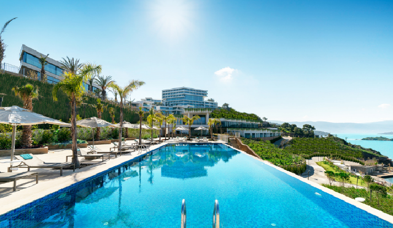 Swimming Pool & Aqualife