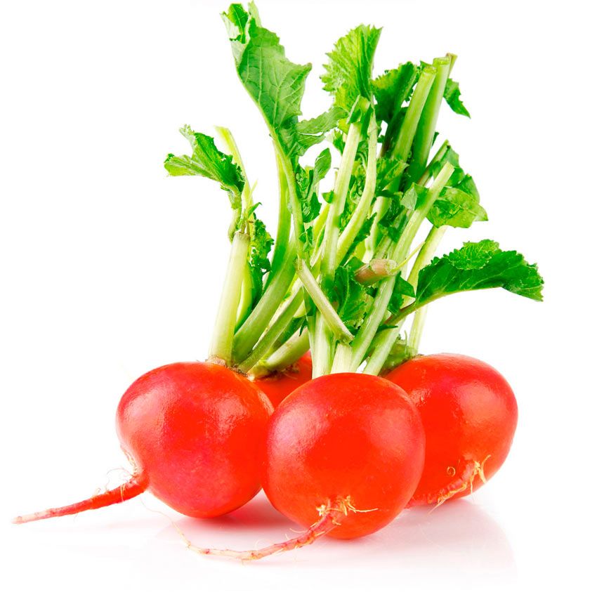 VIFRESH!
