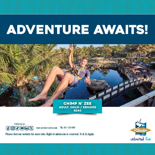 Adventure Awaits Chimp and Zee Rope Adventure Park