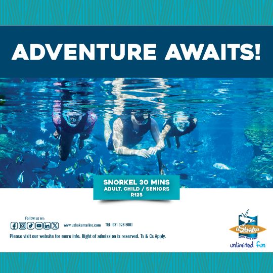 Adventure Awaits Sea Animal Encounters Island