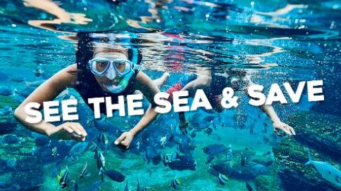 snorkel for R70