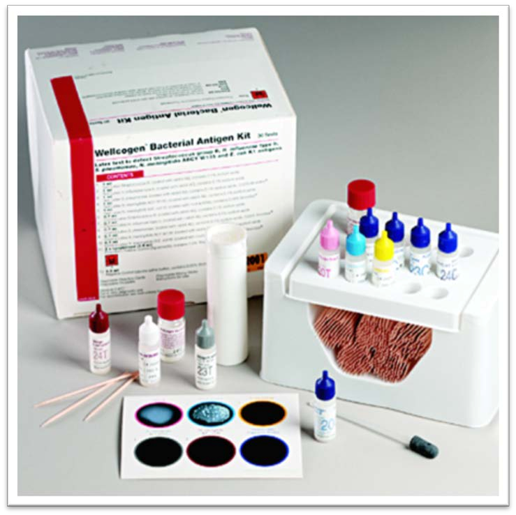 Microbiology Products