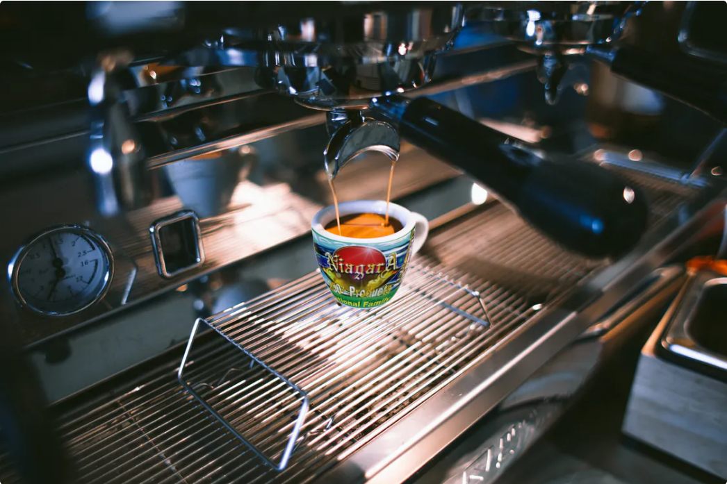 Professor rushwan wild ginseng innovation lab