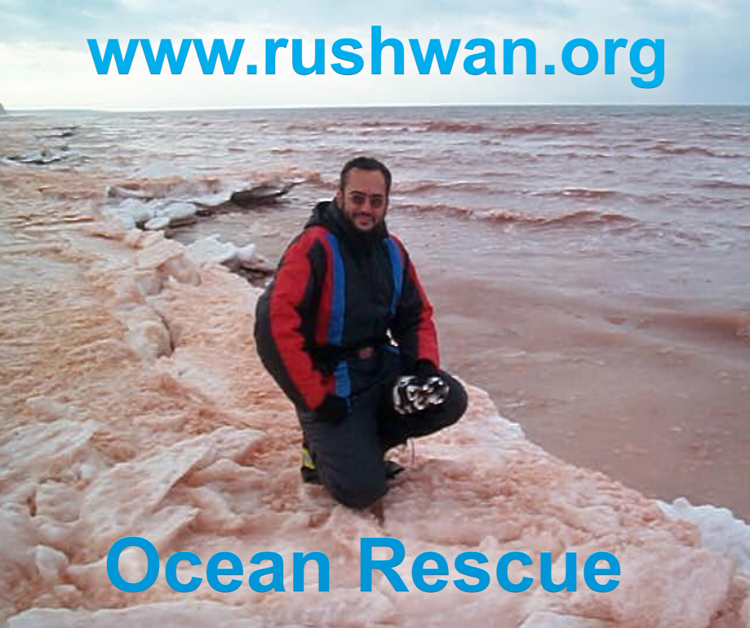 Professor Rushwan hovercraft research on Wiki