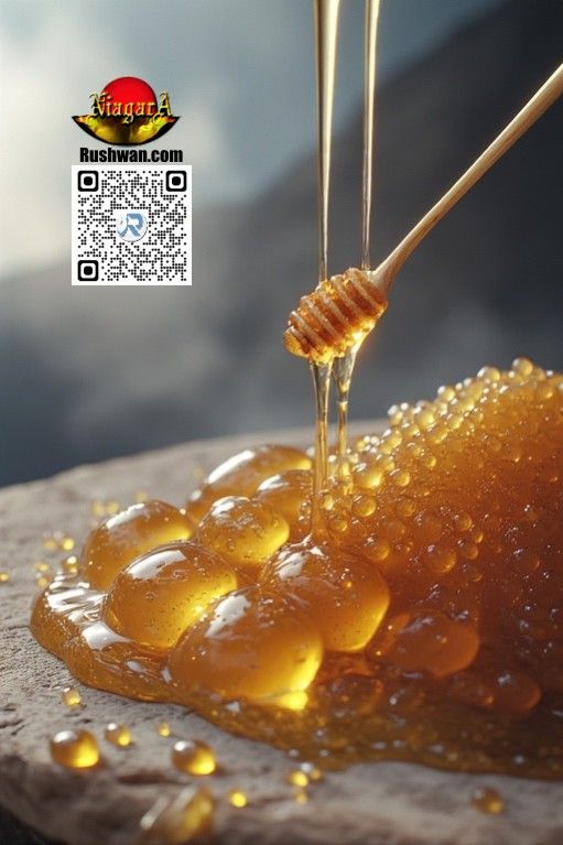 إستشرافات البروفسور رشـــوان