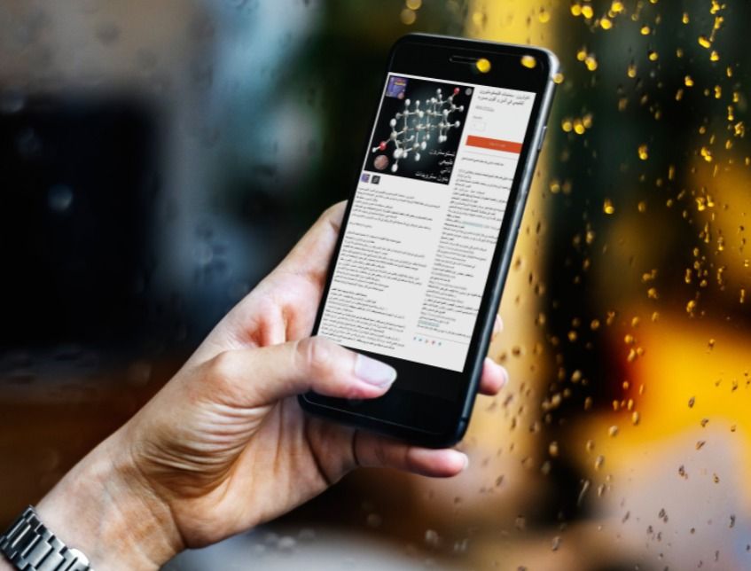 Professor Hamid RUSHWAN