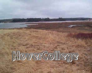 Porosity mesh Loofah sponge