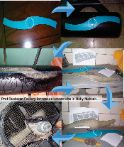 Dr. Rushwan teflon hovercraft aircusion for Arabian floods