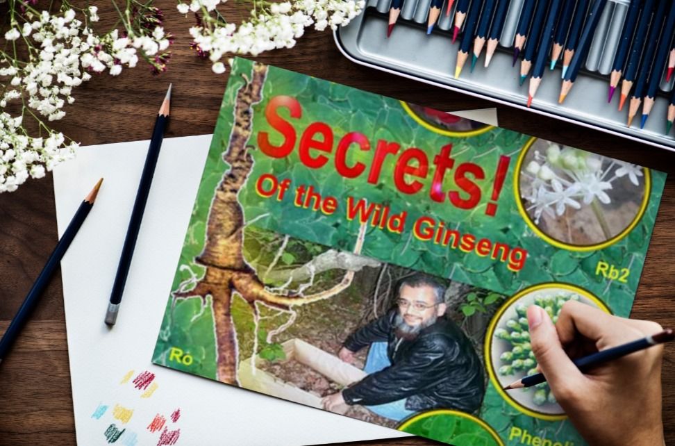 Professor Hamid RUSHWAN