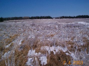 Absolute ultimate test for PTFE anti-snug properties