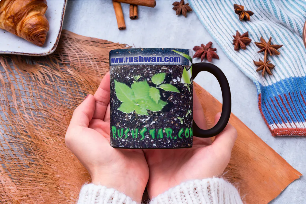 Professor rushwan wild ginseng innovation lab