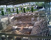 Dr. Rushwan teflon hovercraft aircusion for Arabian floods