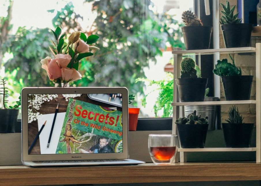 الدكتور حـــامد رشـــوان