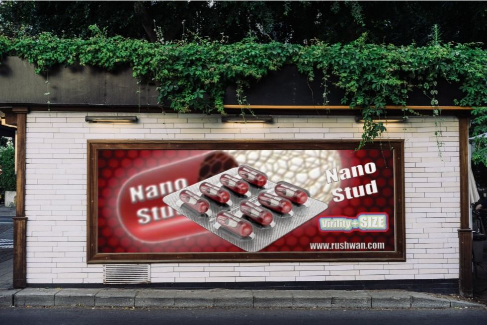 Professor Hamid RUSHWAN