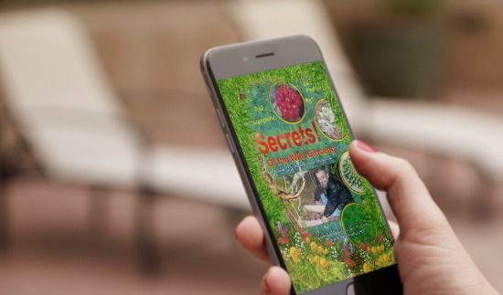 xxx تريبل إكس بنك التقنيات