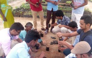 EXTENSIONAL PROGRAMMES
