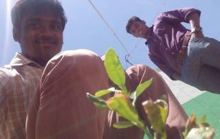 SOCIAL ACTIVITIES