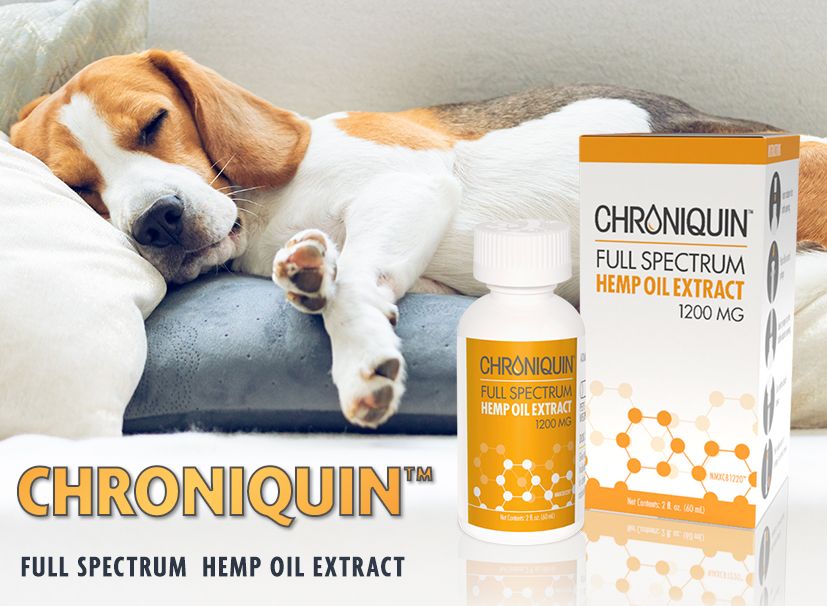 Full Spectrum Hemp Oil For Dogs