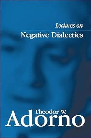Lectures on Negative Dialectics