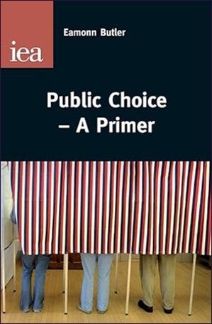 Public Choice: A Primer