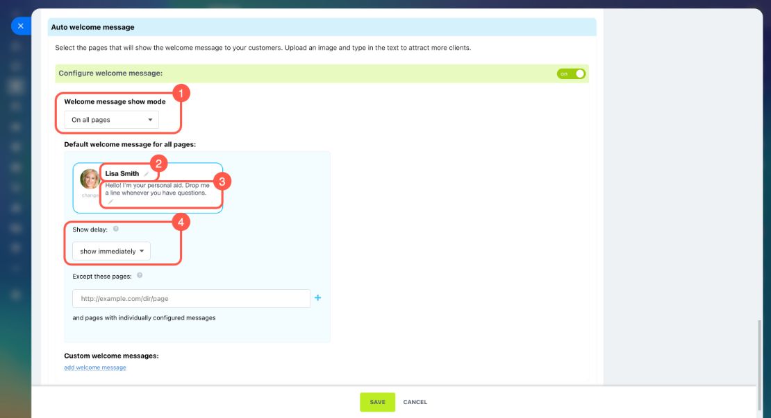 Website widget