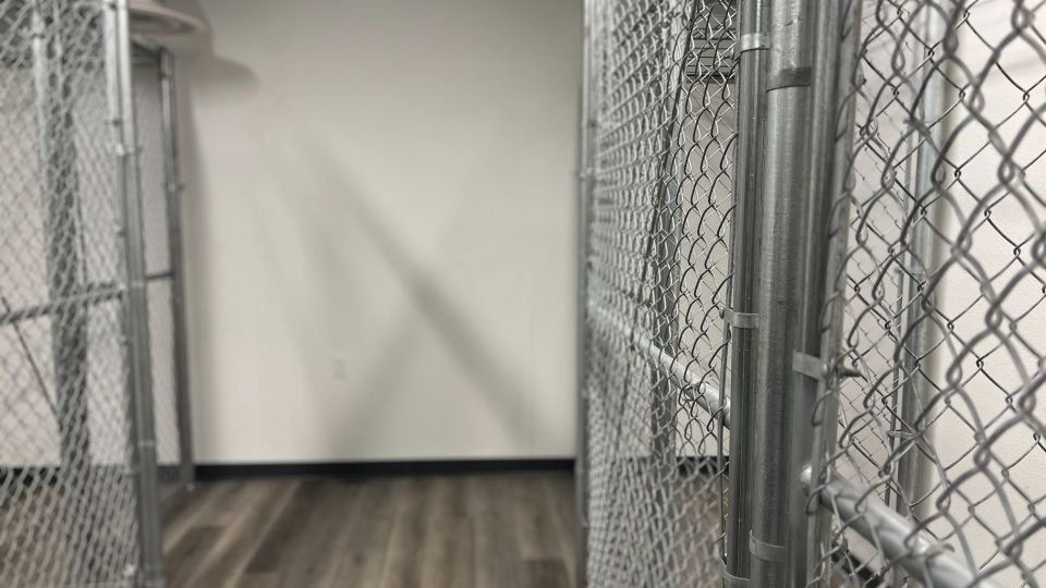 Several indoor storage units.