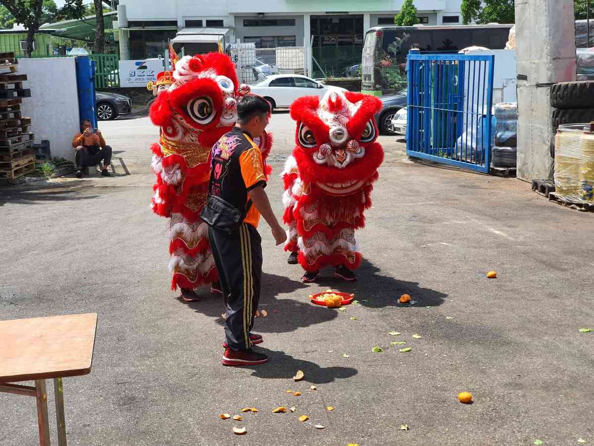 Netline CNY Lion Dance 2020