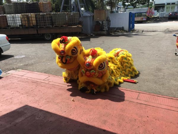 Netline CNY Lion Dance 2019