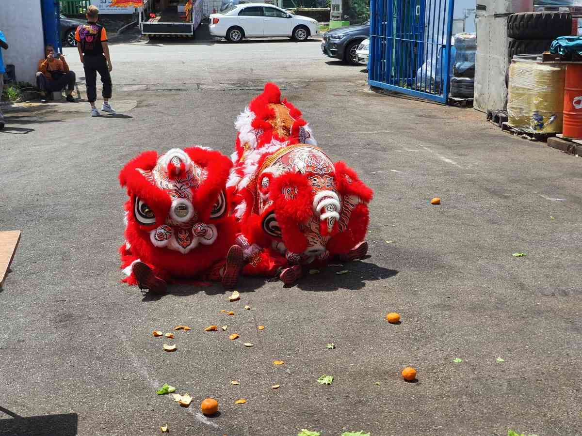 Netline CNY Lion Dance 2020