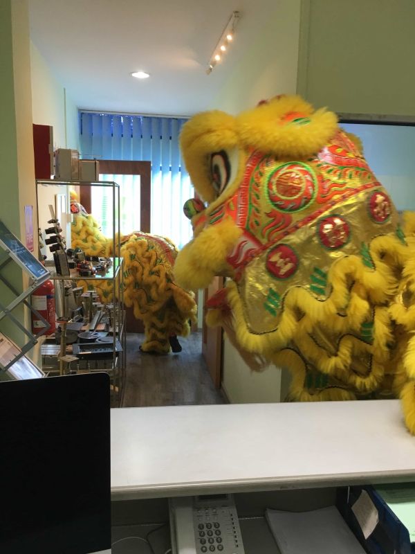 Netline CNY Lion Dance 2019