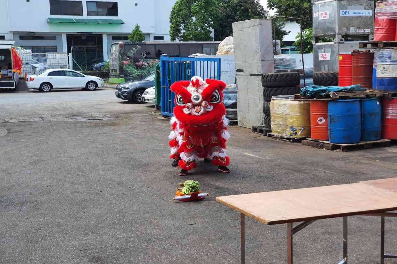 Netline CNY Lion Dance 2020