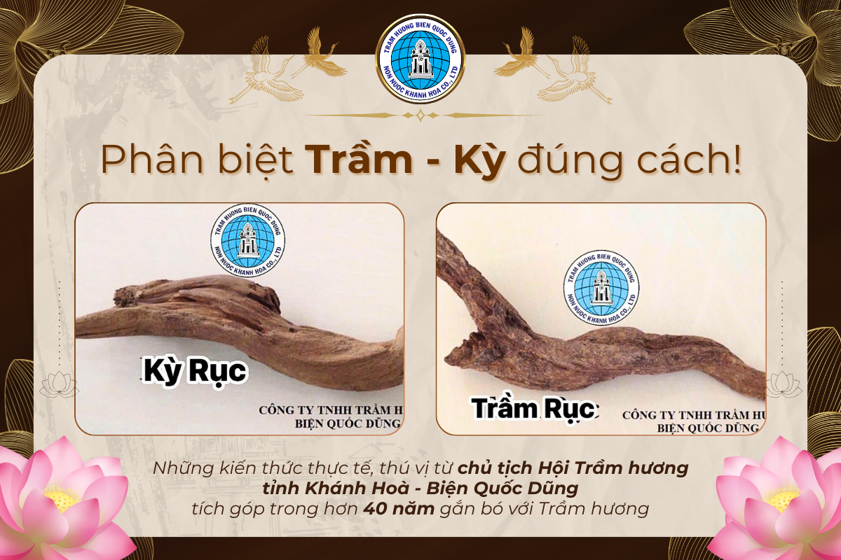 trầm hương non nước khánh hòa