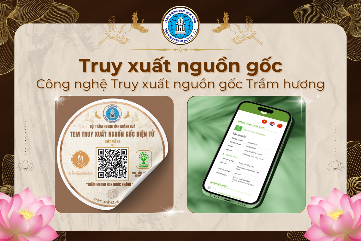 Trầm hương Non nước Khánh Hòa - Truy xuất nguồn gốc trầm hương Khánh Hòa