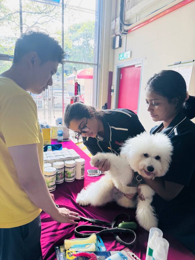 Free dog check-up by our veterinary doctor
