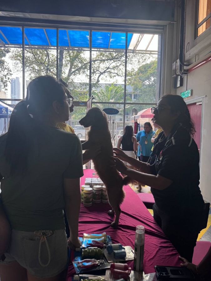 Free dog check-up by our veterinary doctor