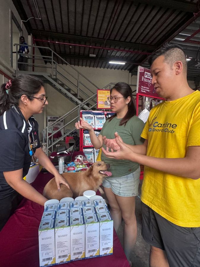 Free dog check-up by our veterinary doctor
