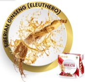 SIBERIAN GINSENG